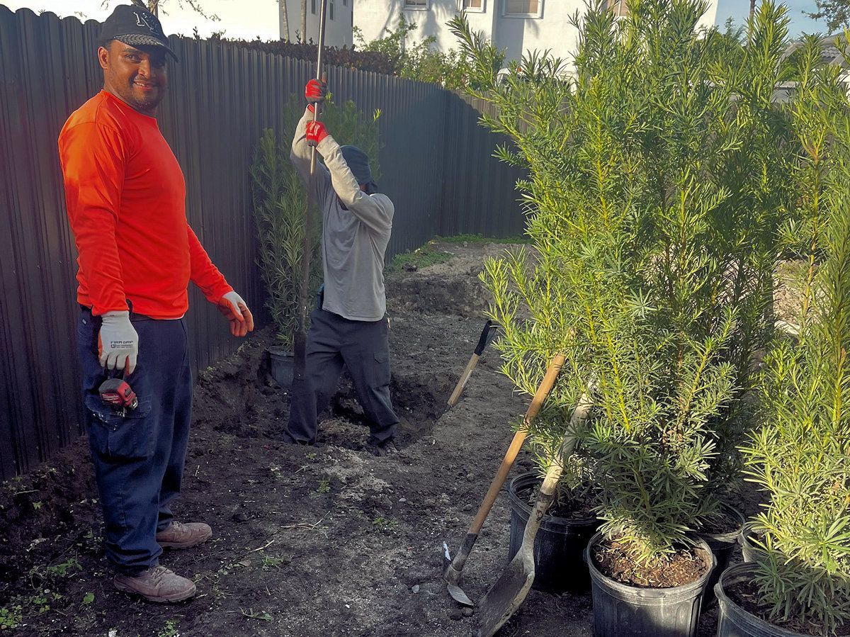 Two workers planting bushes in a yard. One poses, the other digs. Sunlight, brown soil, green plants.