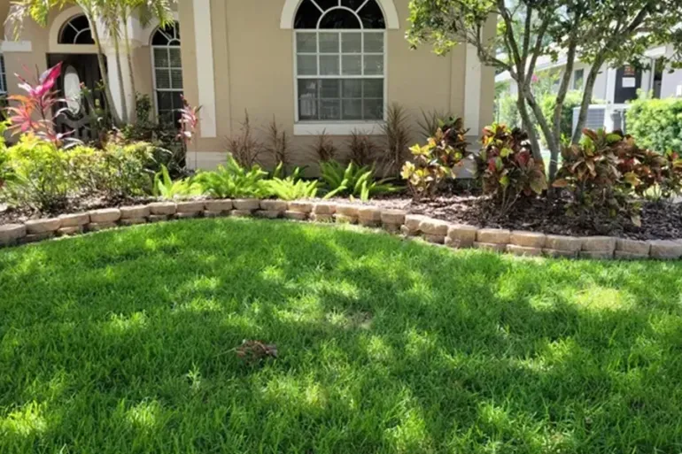 Front yard with lush green lawn, stone border, and a beige house with arched windows and tropical plants.