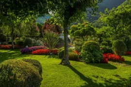 Sunlit garden with green lawn, flowering shrubs, and trees casting shade