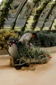 Person on a bicycle hauling potted flowers in a greenhouse-like garden center