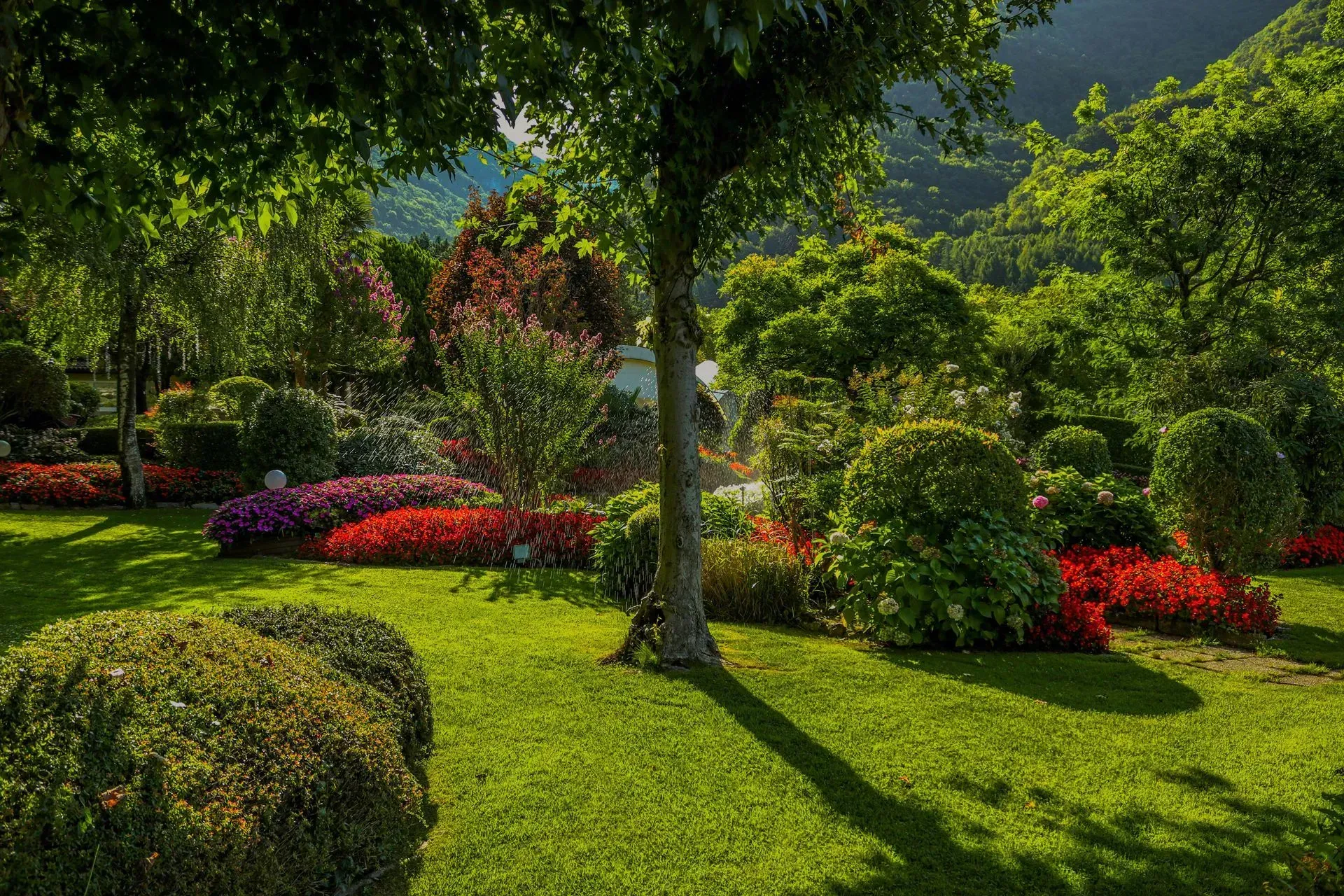 Sunlit garden with green lawn, flowering shrubs, and trees casting shade