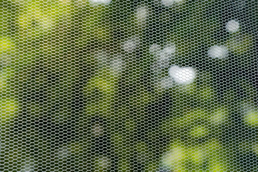 Schermo a rete bianca con fogliame verde sfocato sullo sfondo.
