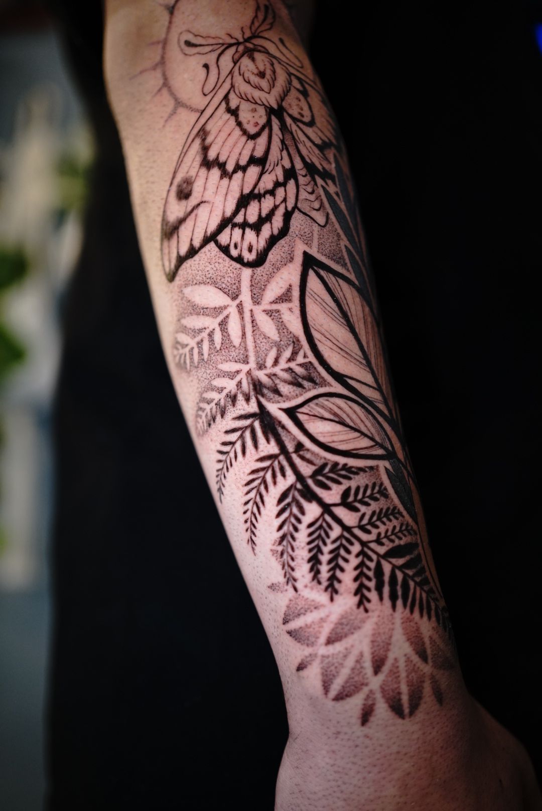 dot work moth tattoo @lisd_art | Black craft tattoos | Miami