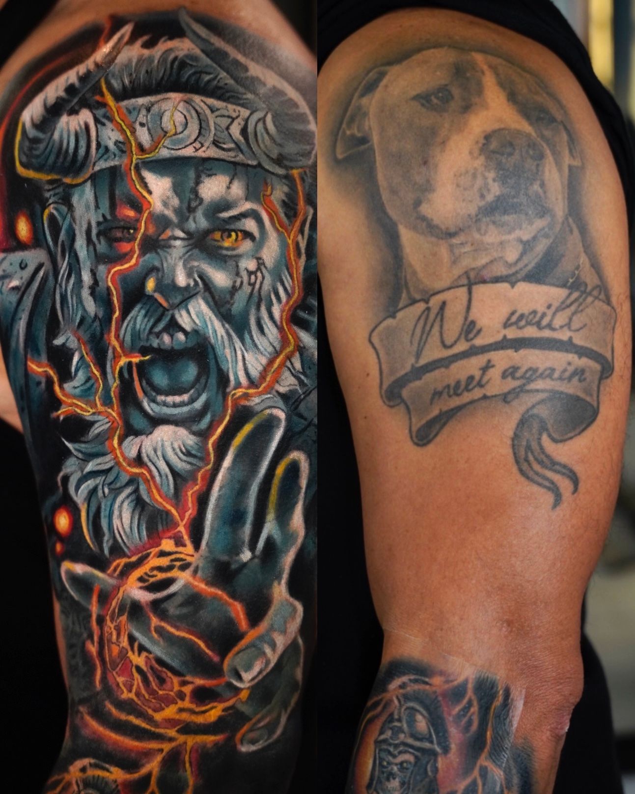 cover up of a dog with a viking 