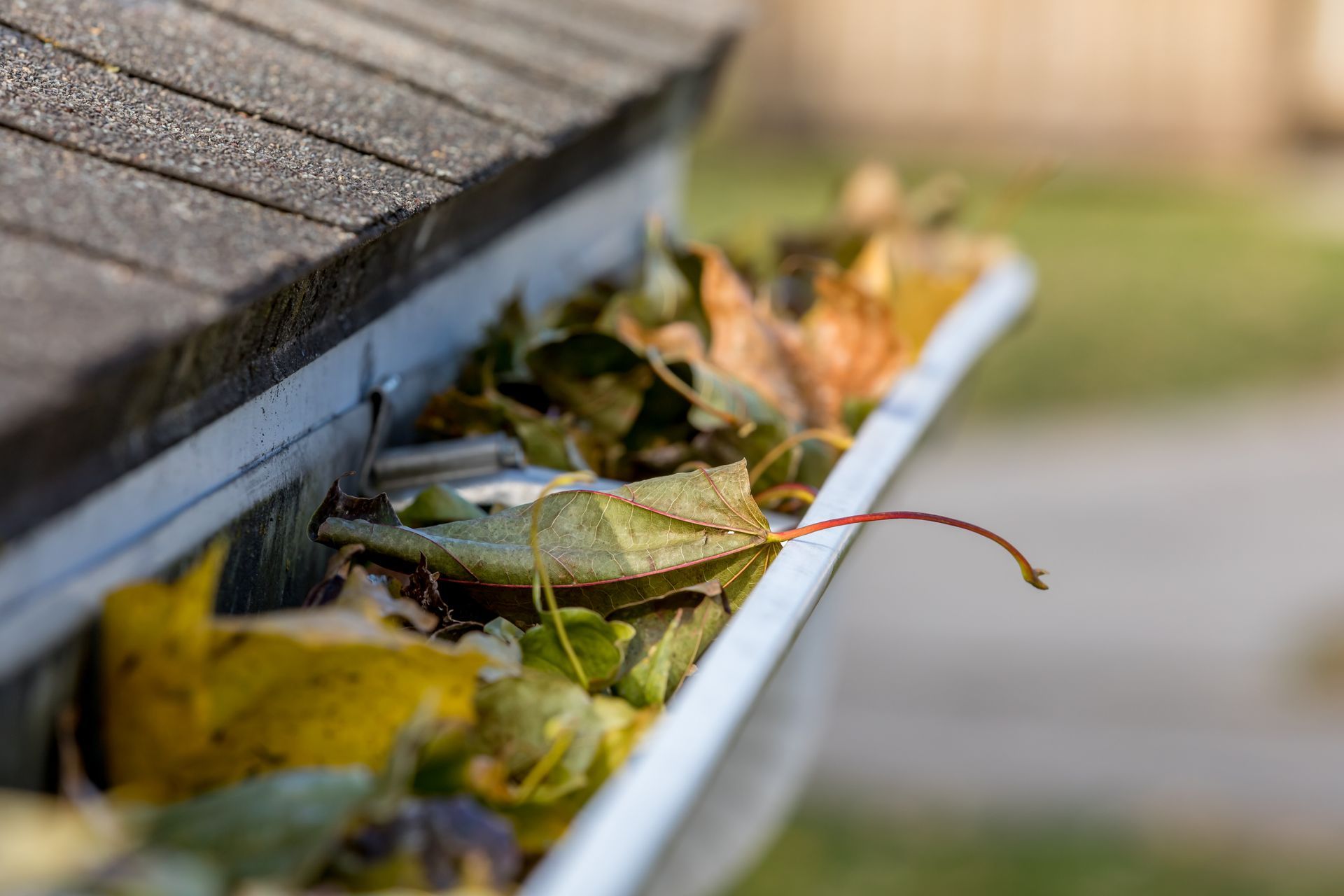 Leaves and debris clogged in a rain gutter beside a shingled roof
