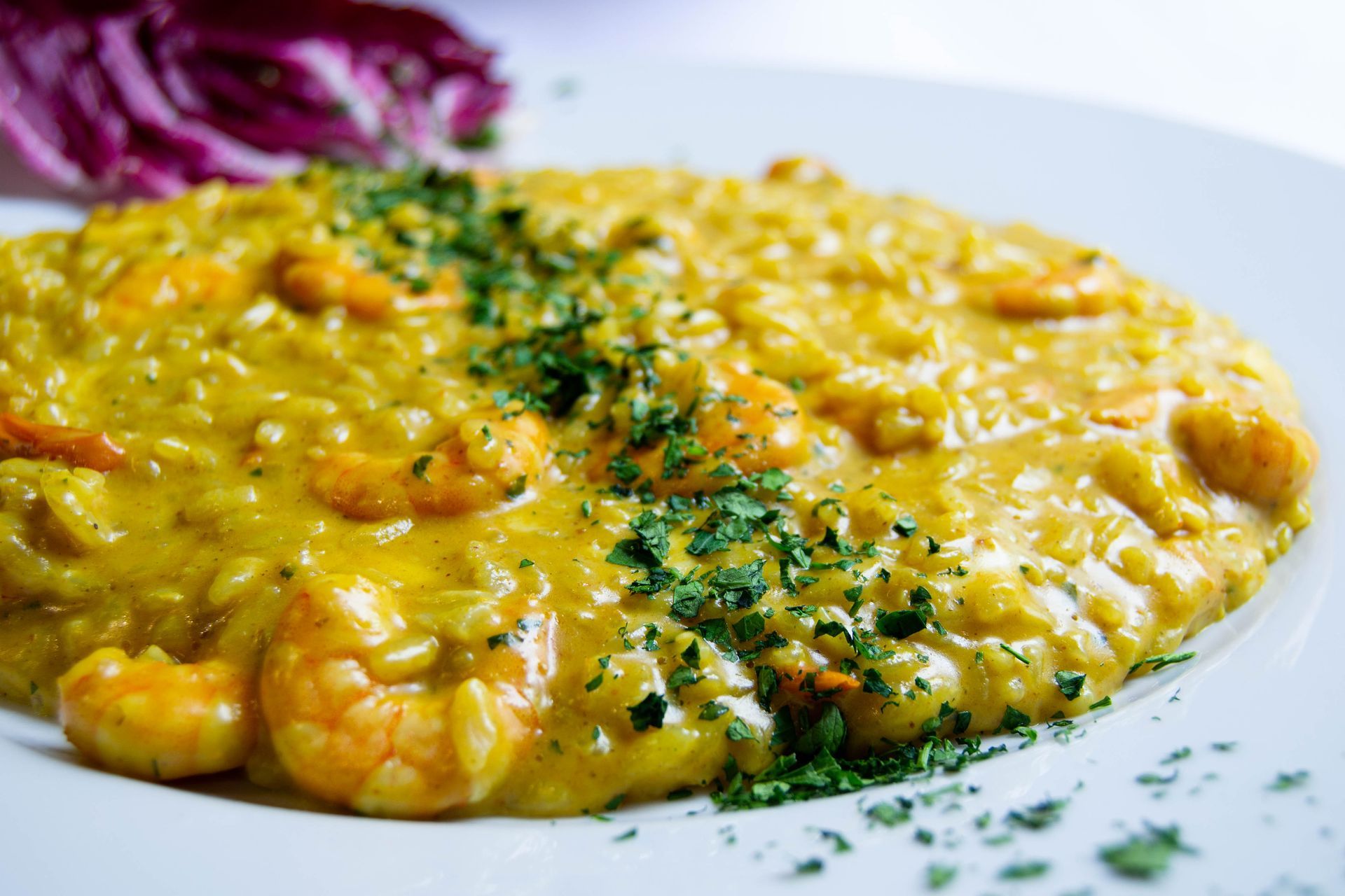 Yellow shrimp risotto topped with parsley, served on a white plate with radicchio.