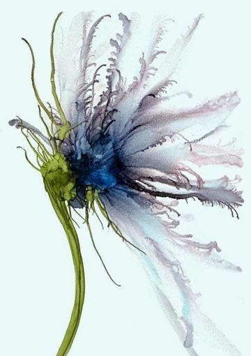 A close up of a blue flower with a green stem on a white background.