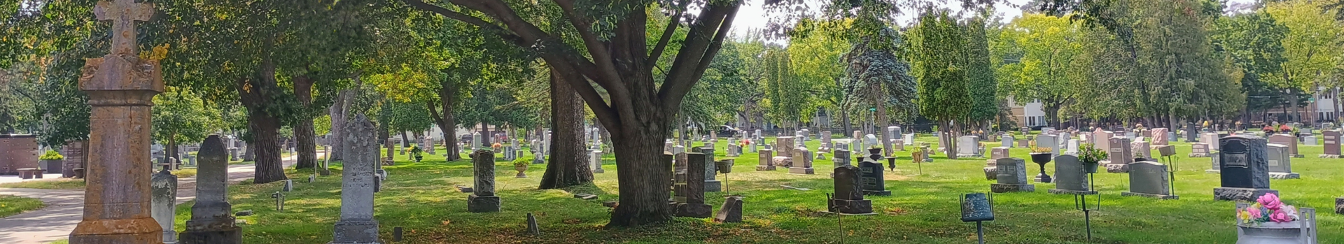 Trees and headstones in a cemetery.