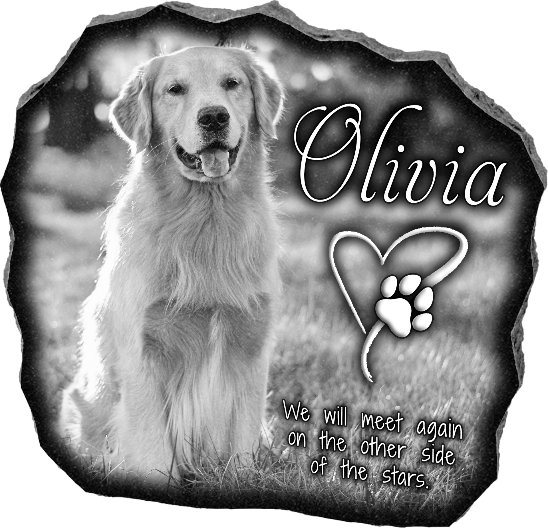 Reflection Stones engraved with a golden retriever, the name Olivia, and a paw print