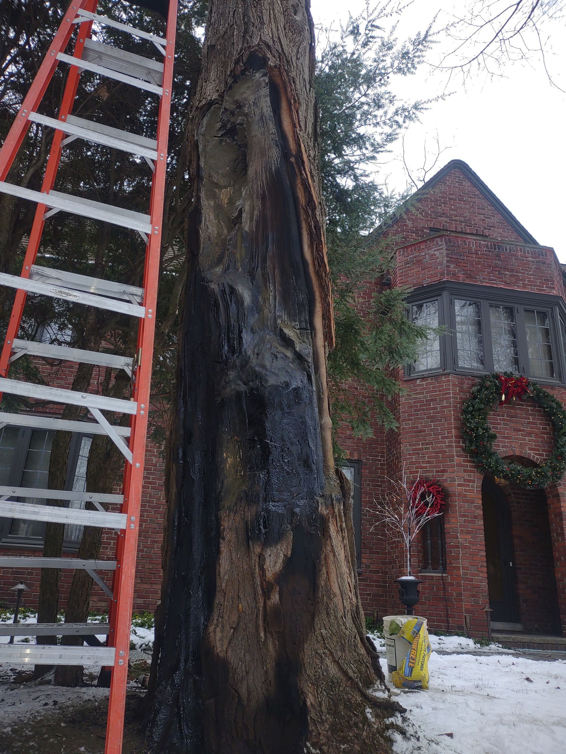 Tree Surgeon Using Chainsaw — Horseheads, NY — Floyd’s Tree Service & Landscaping