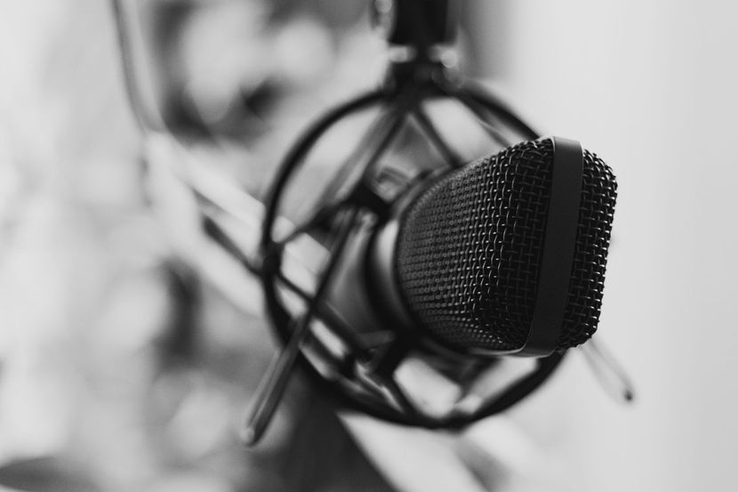 Close-up of a black studio microphone in a shock mount against a blurred background