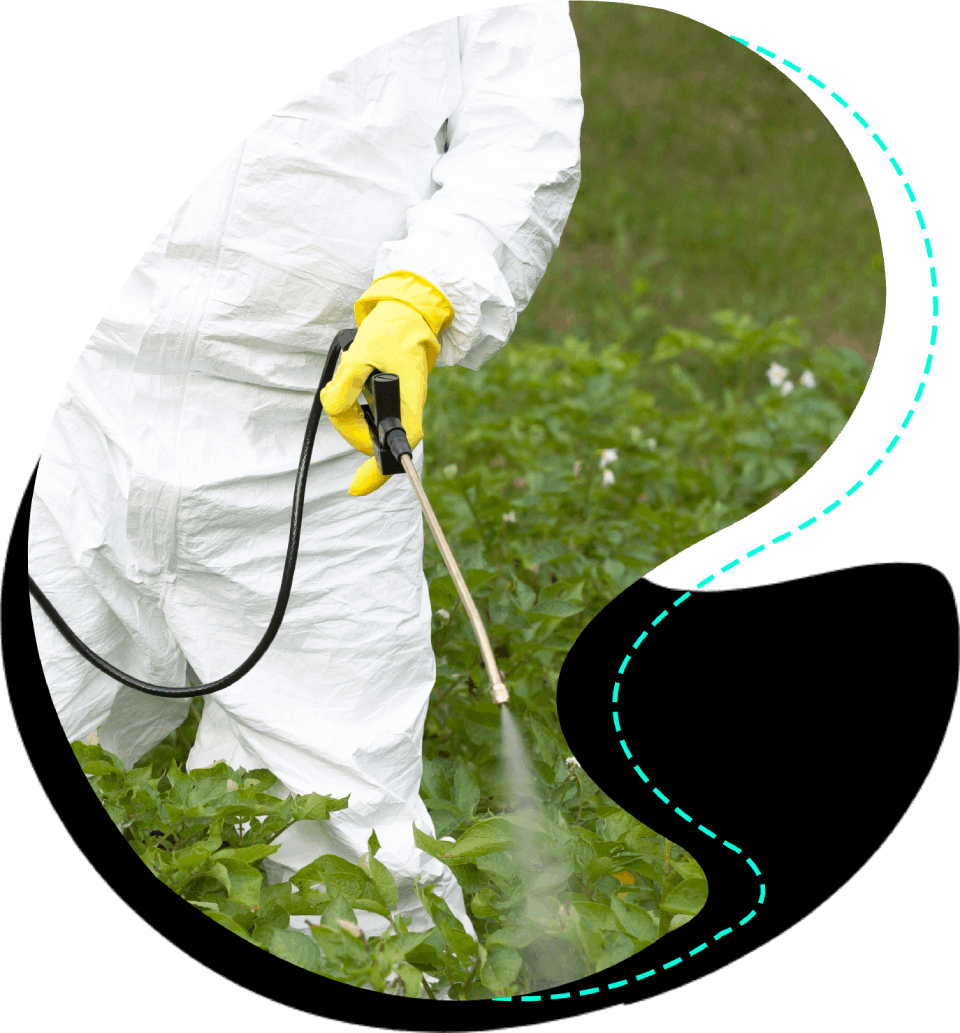 Pestwerx Pest Management