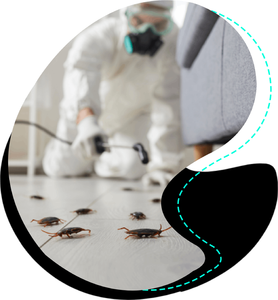 Pestwerx Pest Management