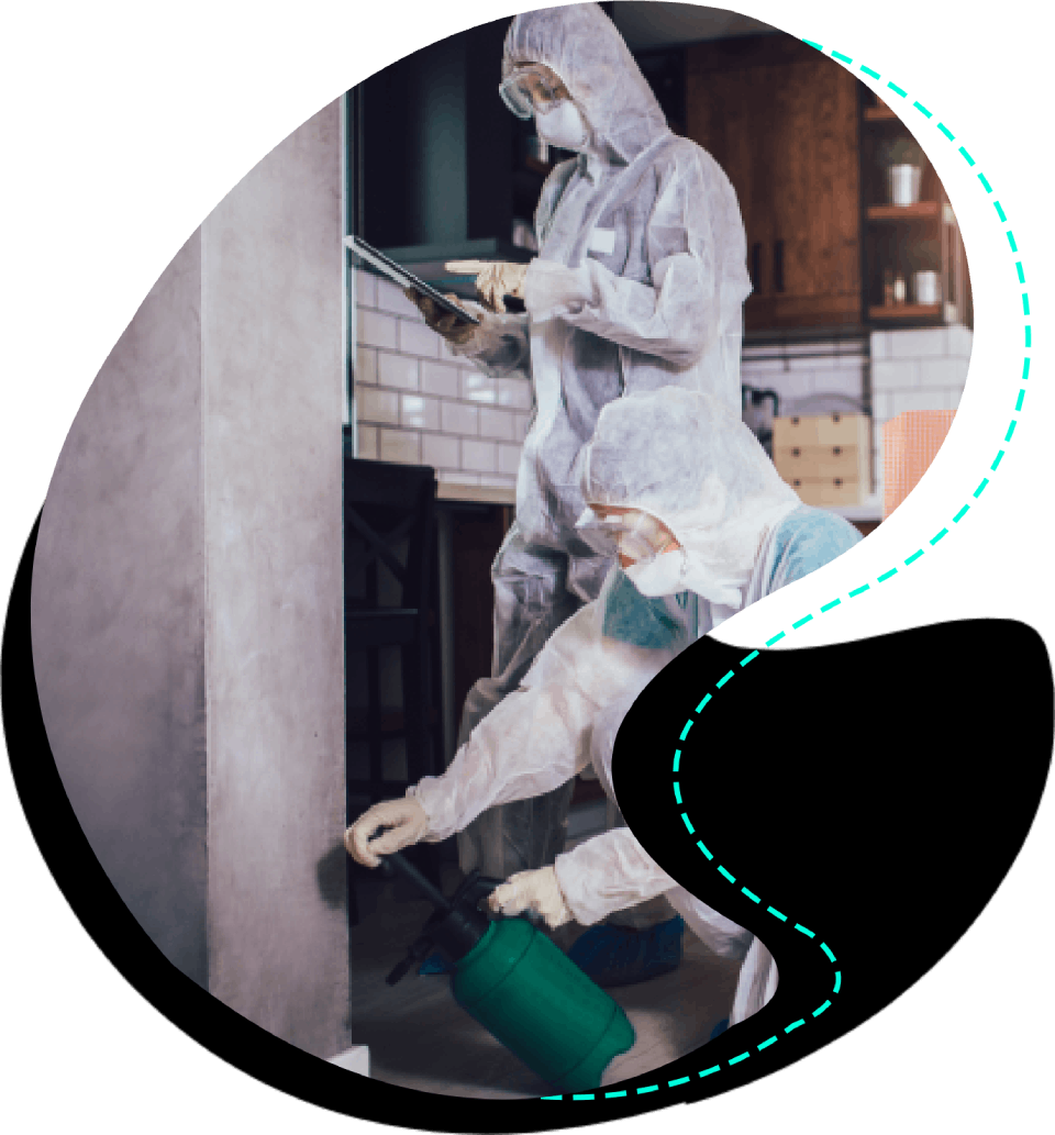 Pestwerx Pest Management