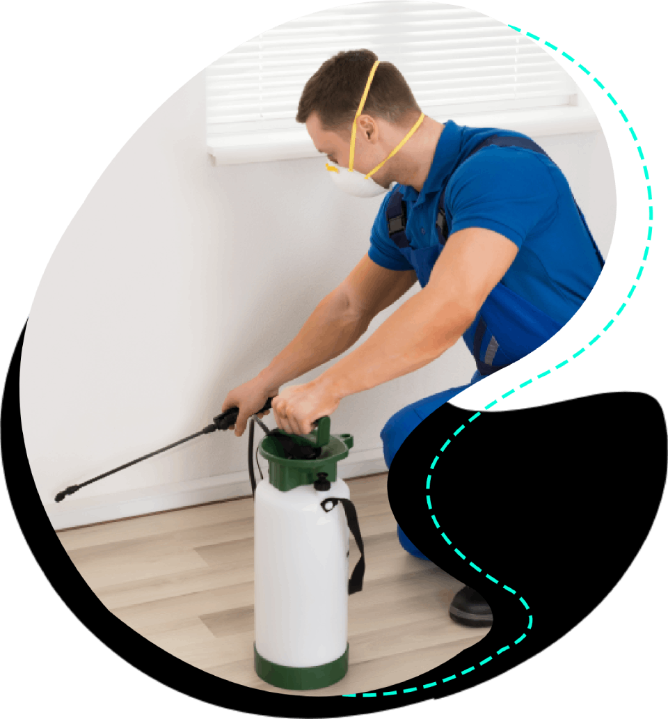 Pestwerx Pest Management