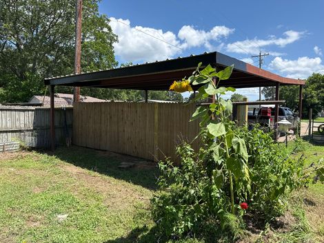 Backyard shed with a corrugated metal roof, wooden fence, and a leafy plant in the foreground under a blue sky
