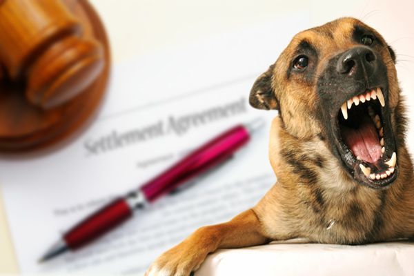 The Selvin Law Firm, PLLC Case Study