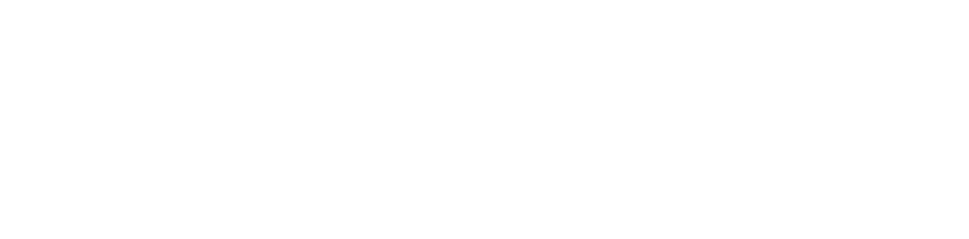 The Selvin Law Firm, PLLC - Serious Injury Attorney