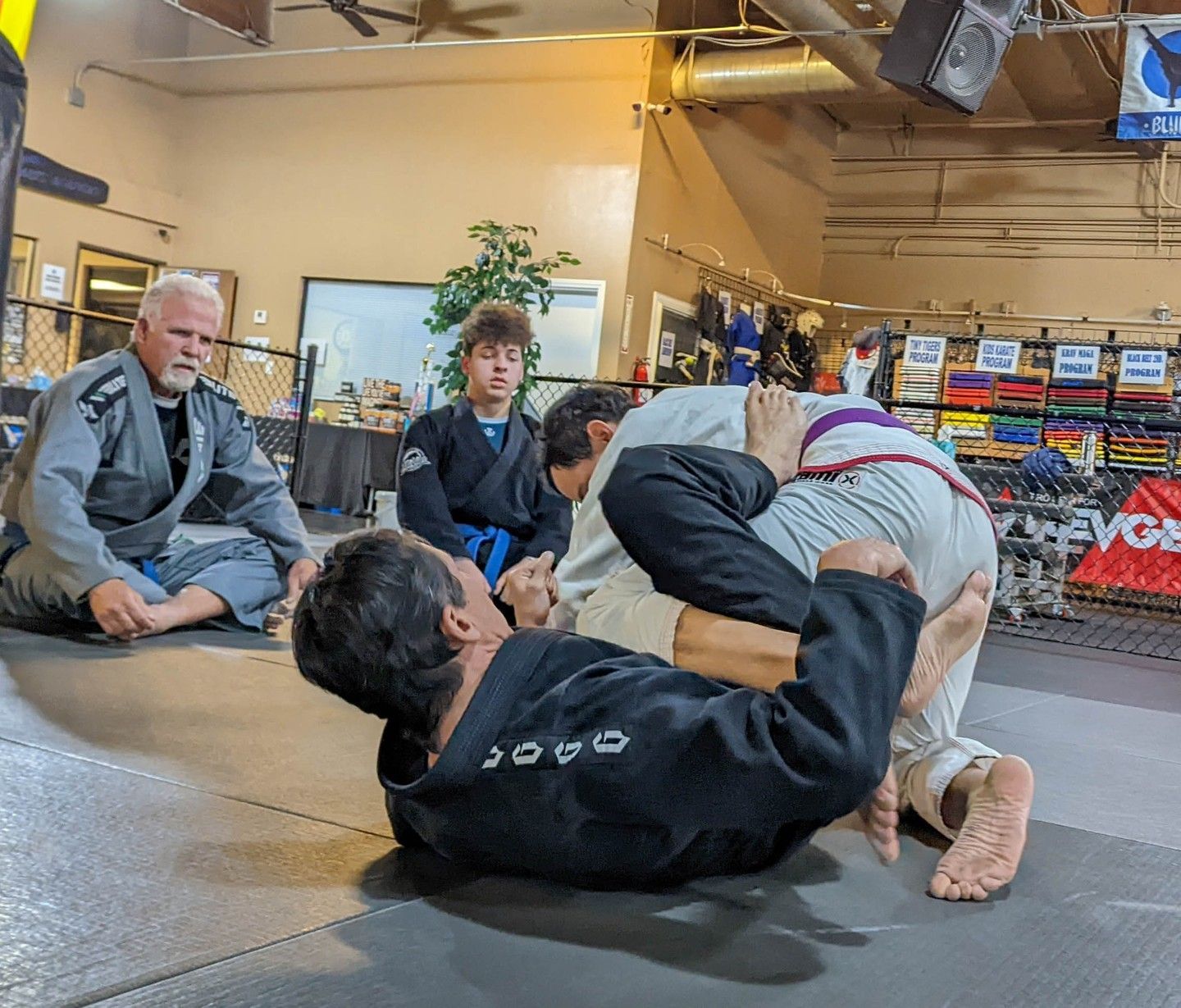 bjj