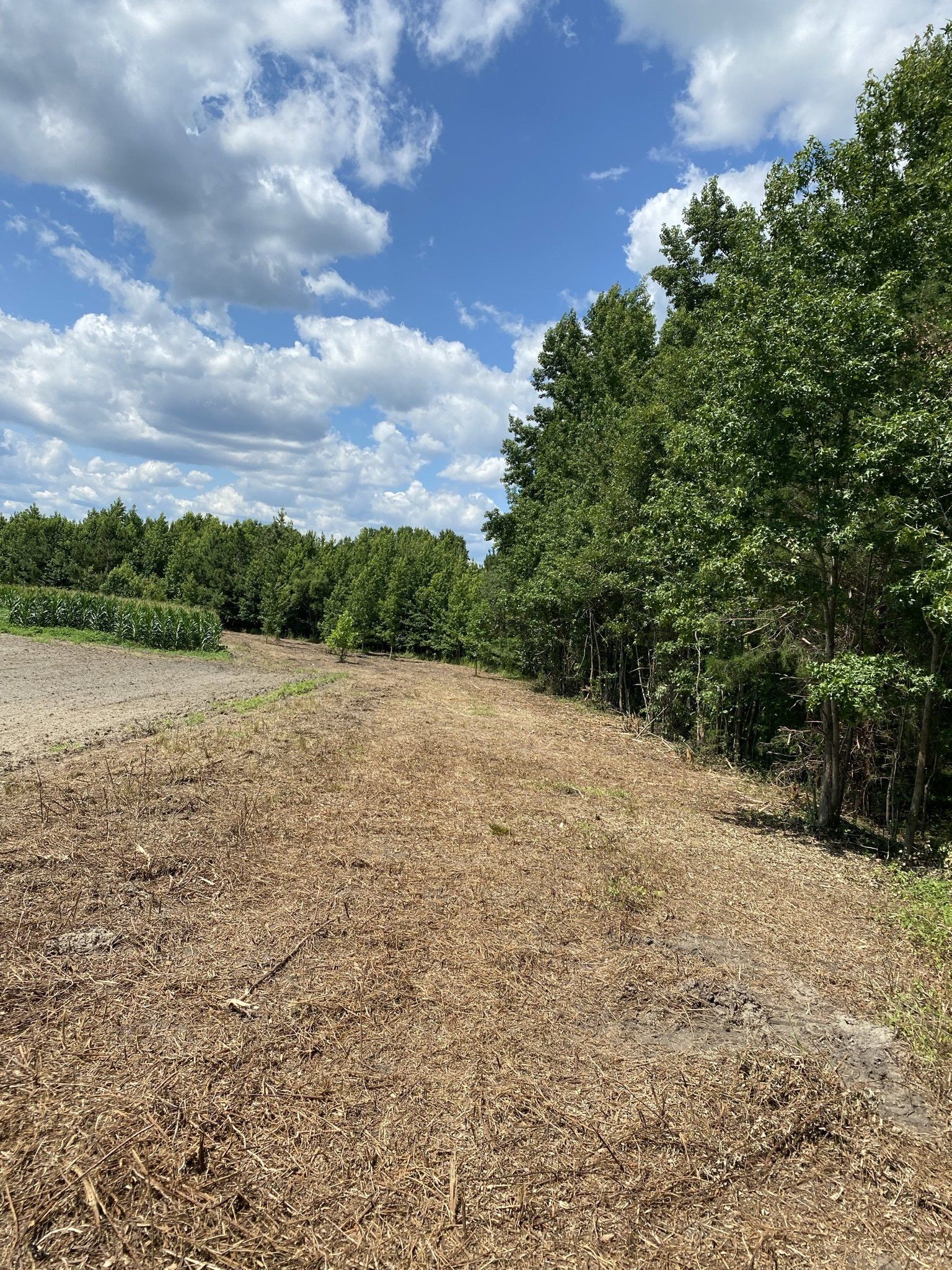 Residential Forestry Mulching Service