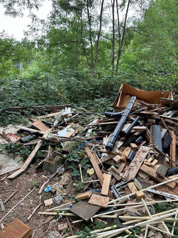 Pile of mixed construction debris and broken wood in a forest clearing, surrounded by dense green trees.