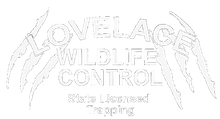 Lovelace Wildlife Control