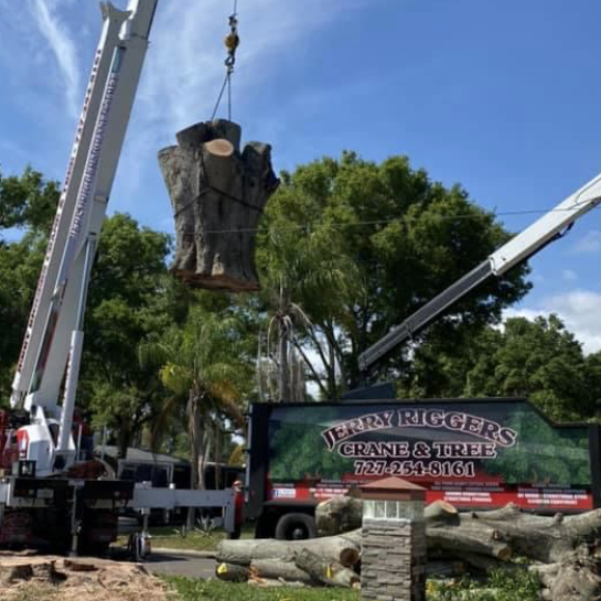 Crane lifts a large tree stump beside a logging truck under a blue sky.
