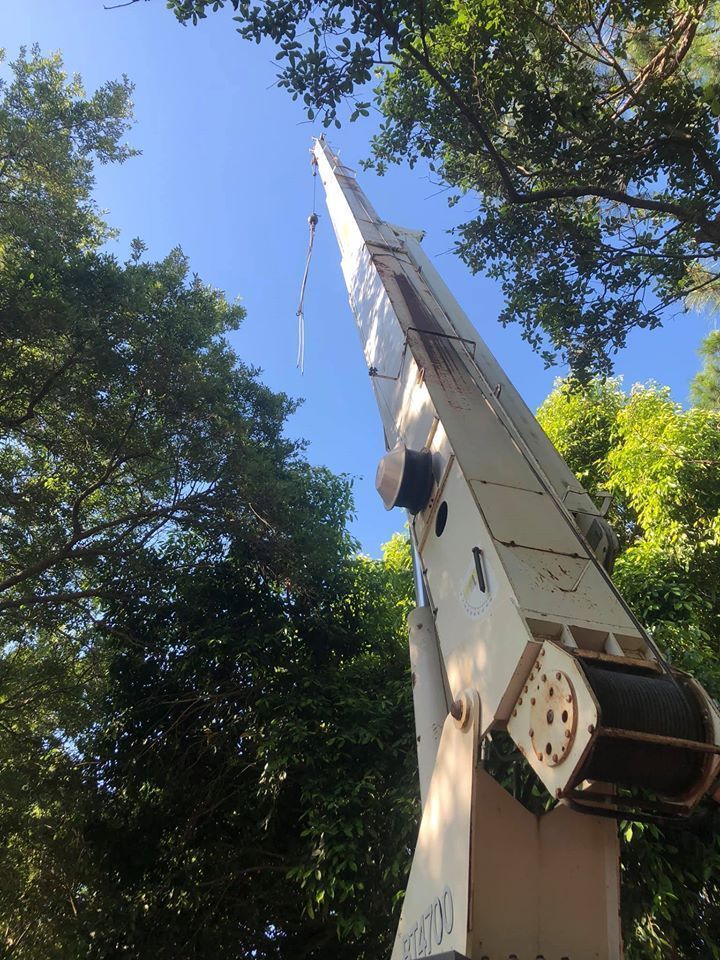 A crane with an extended boom rises beside leafy trees under a bright blue sky.