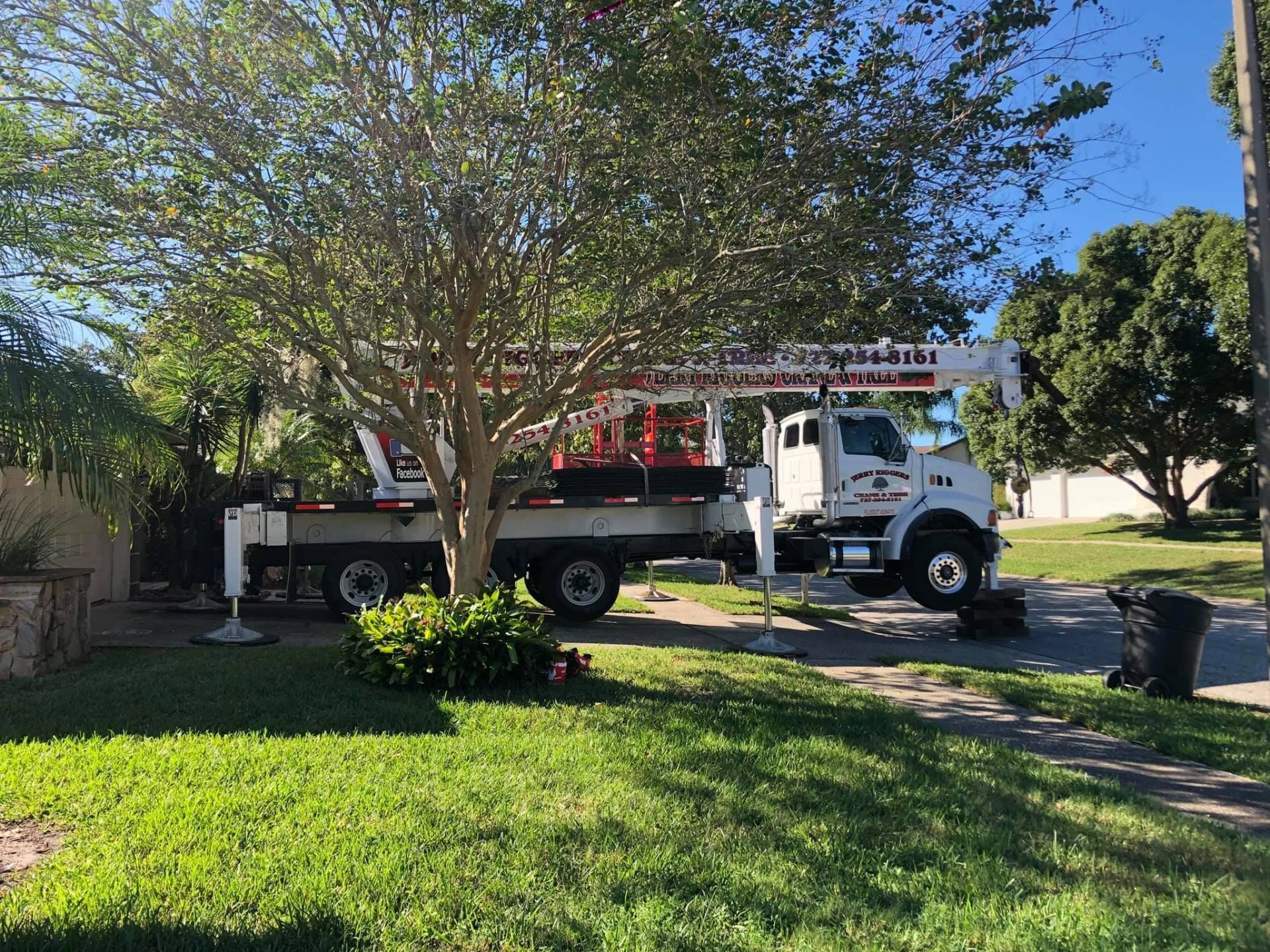 White utility truck with ladder parked under a tree in a grassy yard on a sunny day