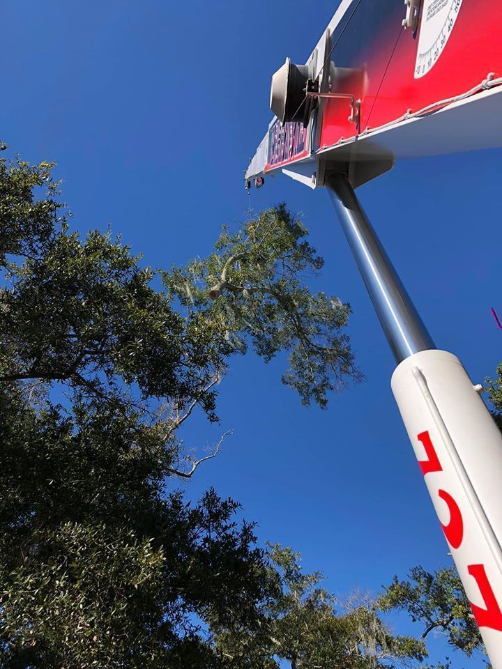 Low-angle view of a red sign on a pole against a clear blue sky and leafy trees