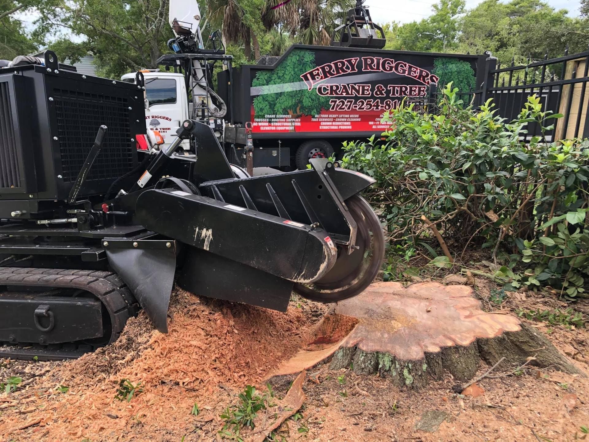 Black excavator arm lifting a tree root stump beside a fence and shrubs outdoors