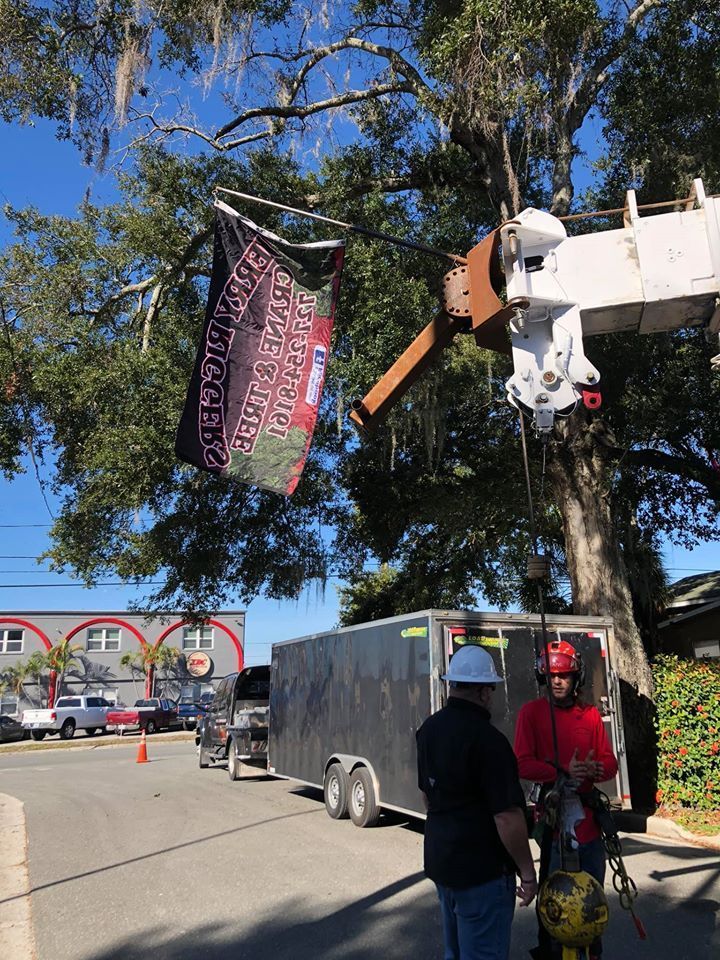 Utility bucket truck trimming a tree beside a street, with workers below and a tarp hanging from the branches.