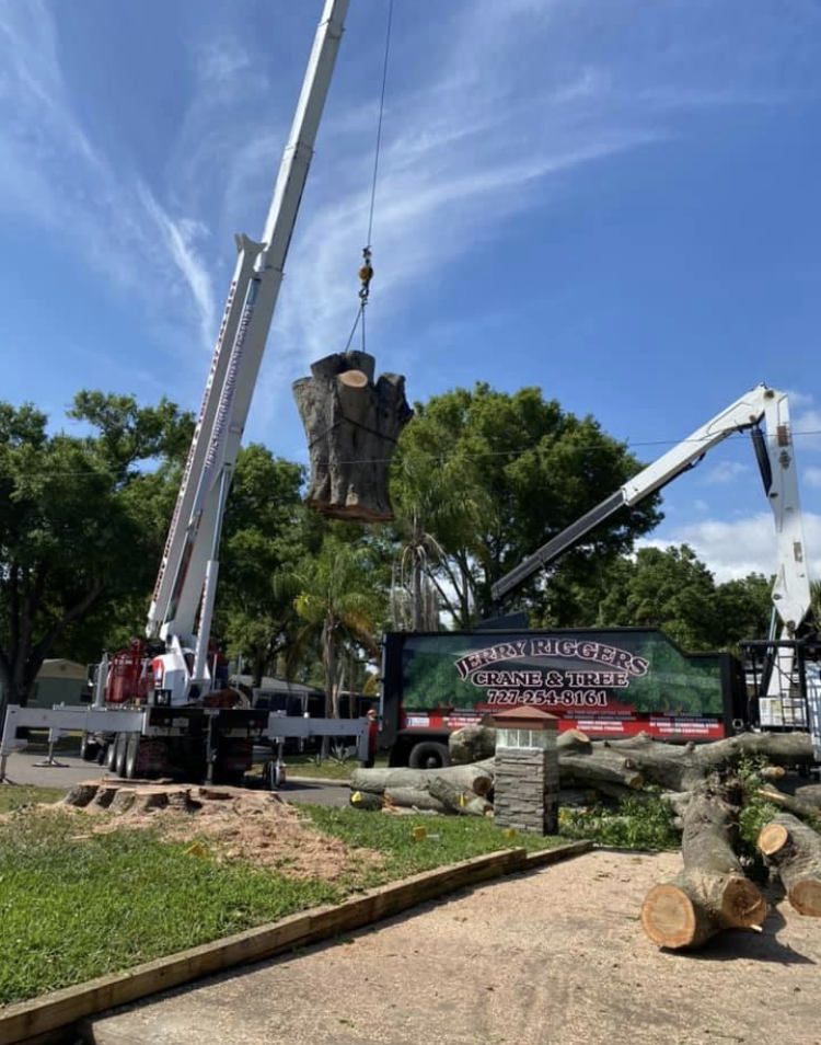 Crane lifting a large tree stump beside a roadside sign under a blue sky.