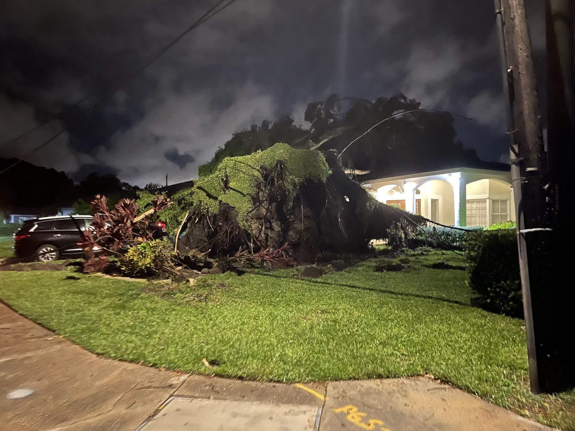 Large fallen tree blocking a driveway at night beside a lit house, with a dark stormy sky.