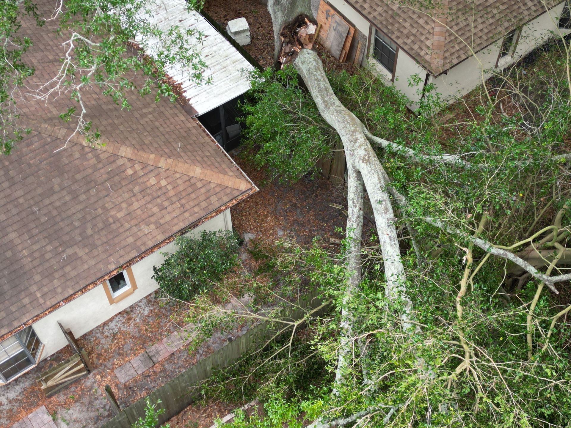 Aerial view of a fallen tree leaning over a house and yard after storm damage