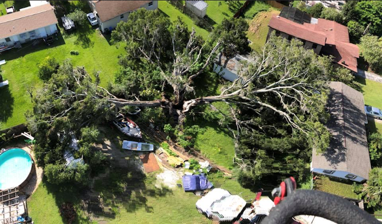 Aerial view of a fallen tree across a yard near houses and parked cars, with storm damage visible.