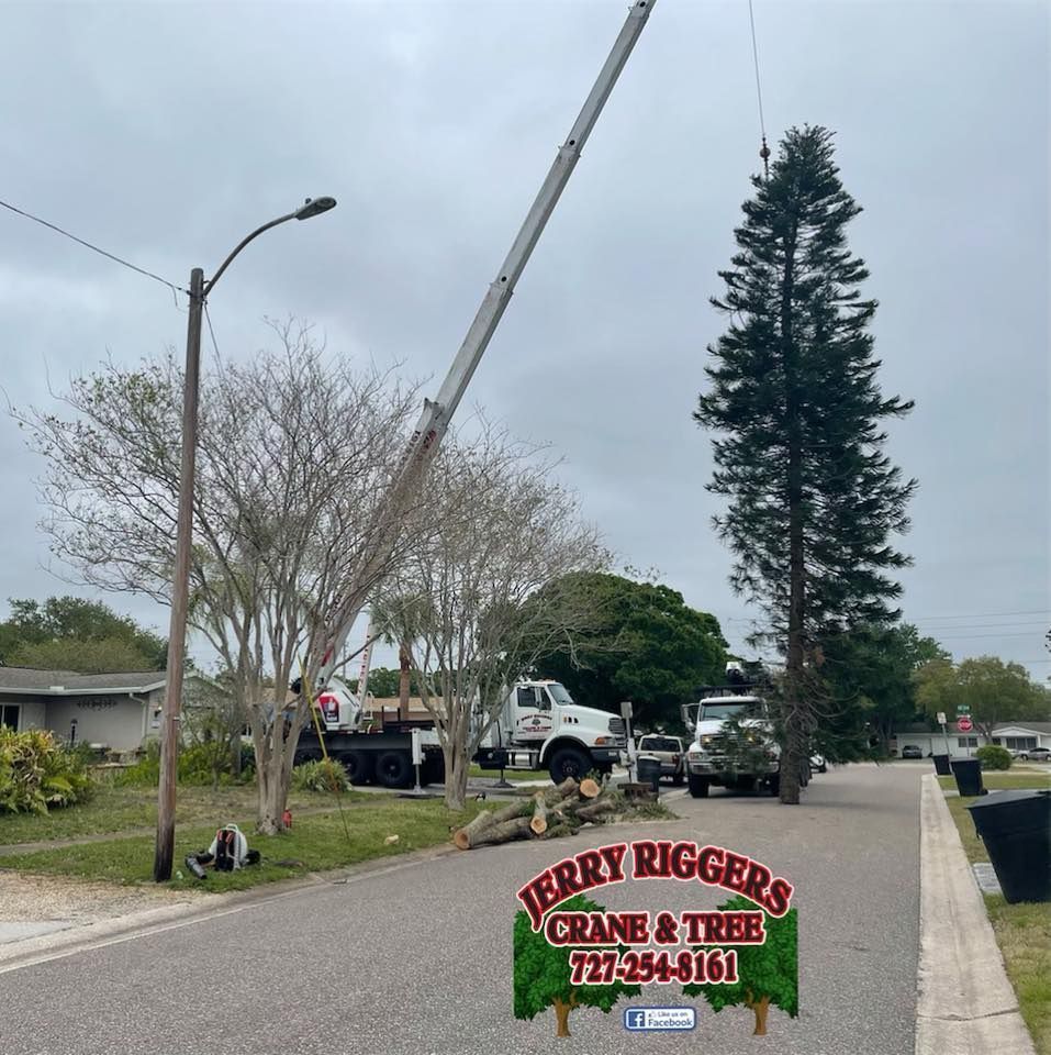 Tow truck lifting a vehicle on a residential street, with a Terry Riggers Crane & Tree sign in front.