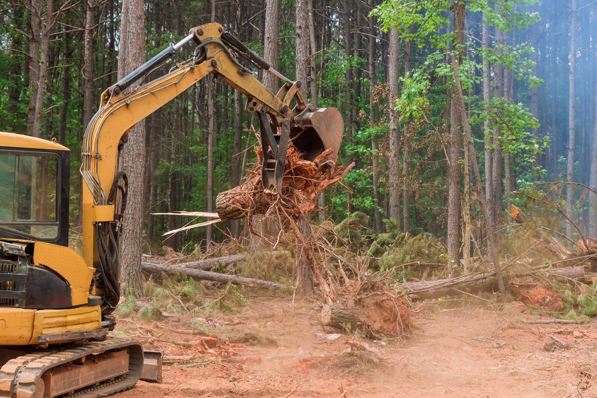 Yellow excavator lifting a tree stump in a forest clearing, with roots and dirt flying