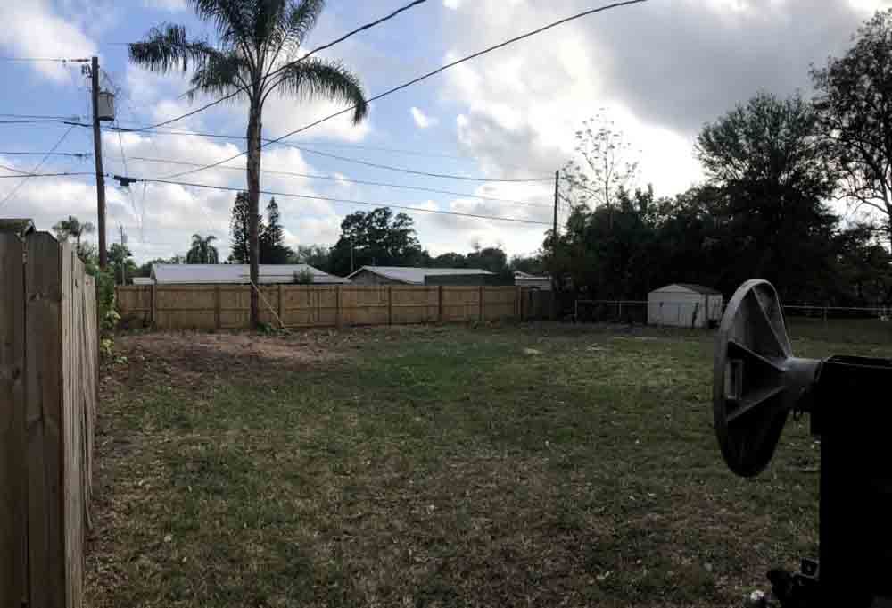 Backyard with patchy grass, palm tree, wooden fence, and cloudy sky