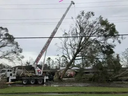 Crane truck lifting a fallen tree beside a road after a storm, with power lines overhead.