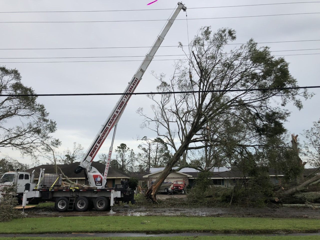 Crane truck lifting a fallen tree near power lines after a storm