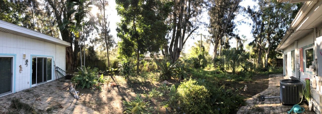 Backyard garden between two houses, with trees, shrubs, and a stone path in the center.