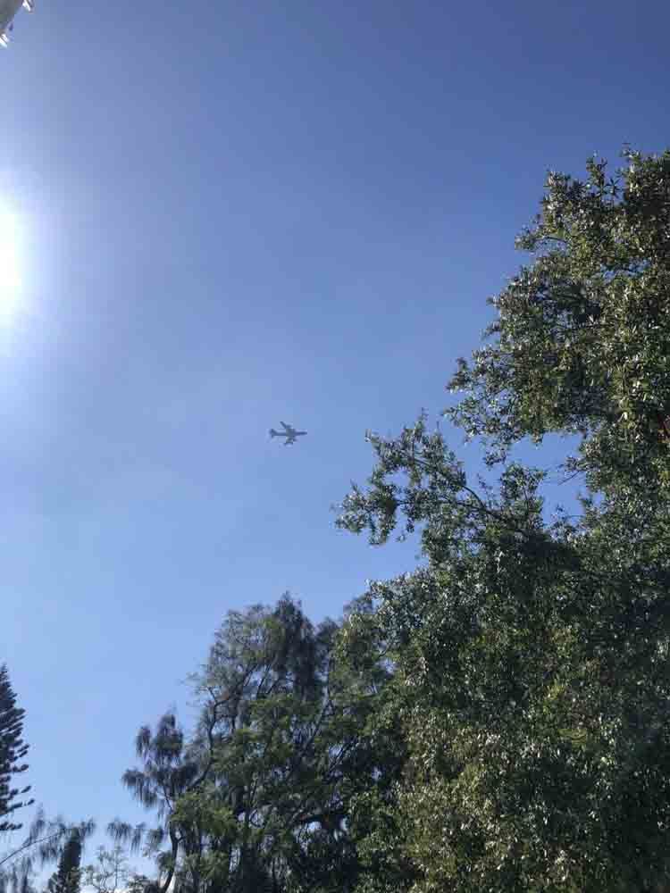 Small airplane flying in a blue sky above treetops, with bright sun at the left edge.