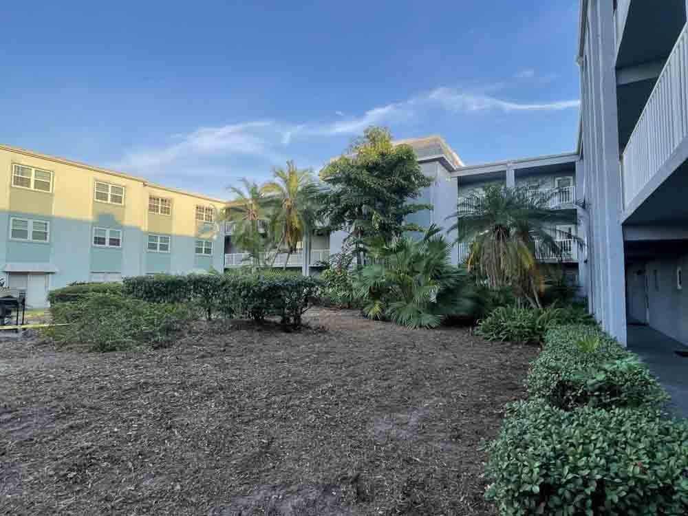 Courtyard with palm trees, shrubs, and a modern building under a blue sky
