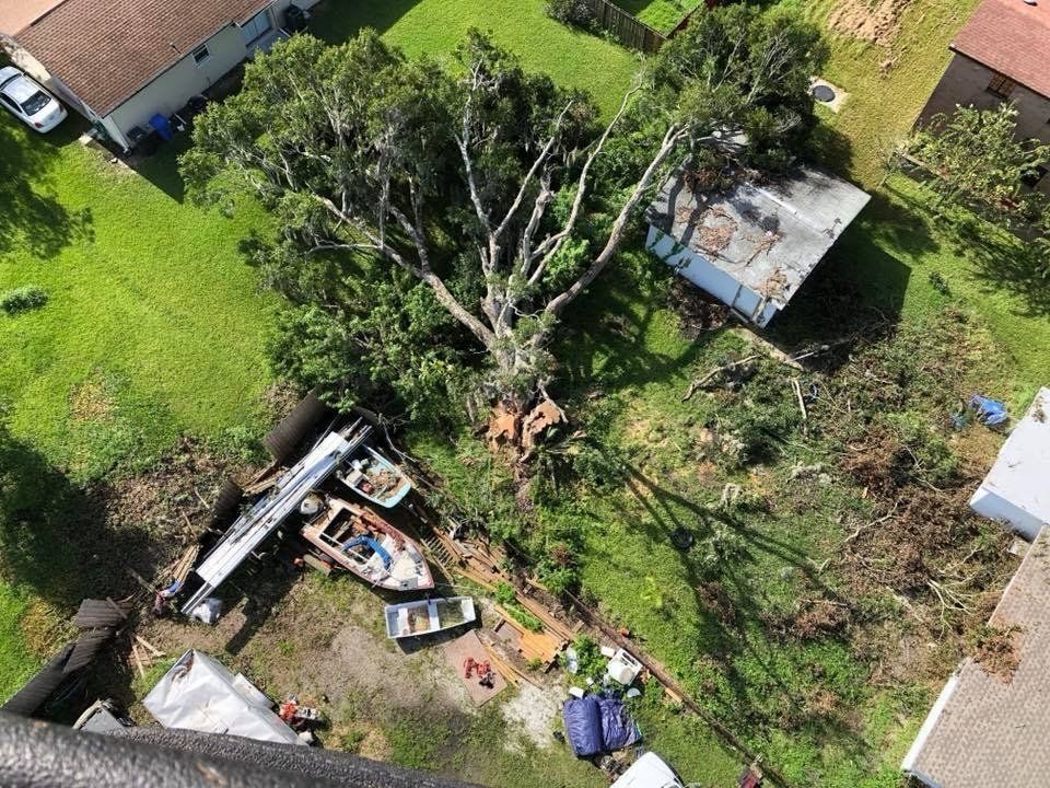 Aerial view of storm damage with a fallen tree over a yard, debris scattered around, and nearby houses.