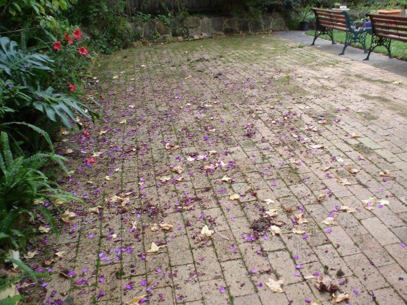 Paver Before