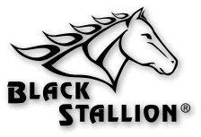 Black Stallion