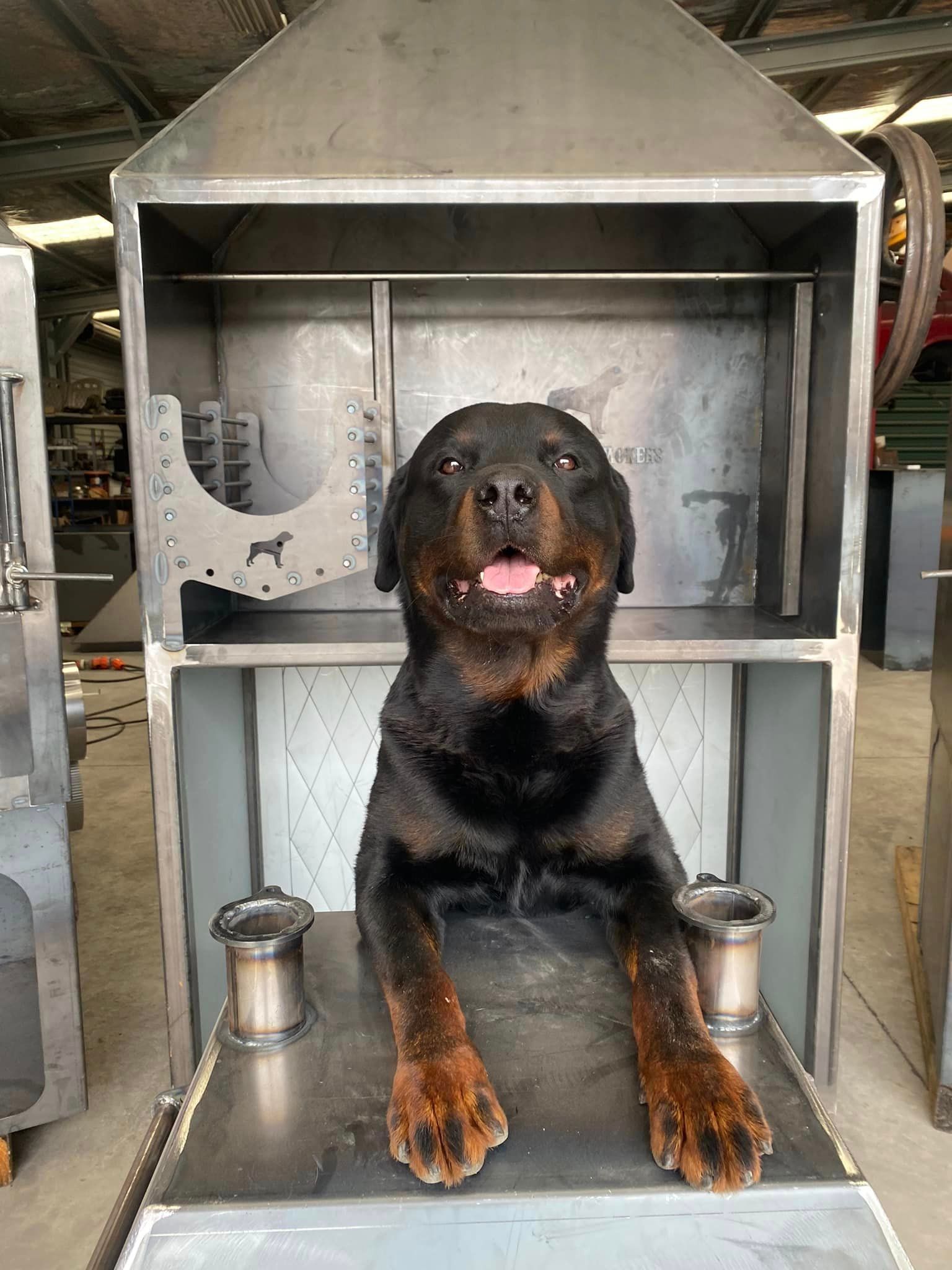 A rottweiler dog is laying on top of a metal shelf.