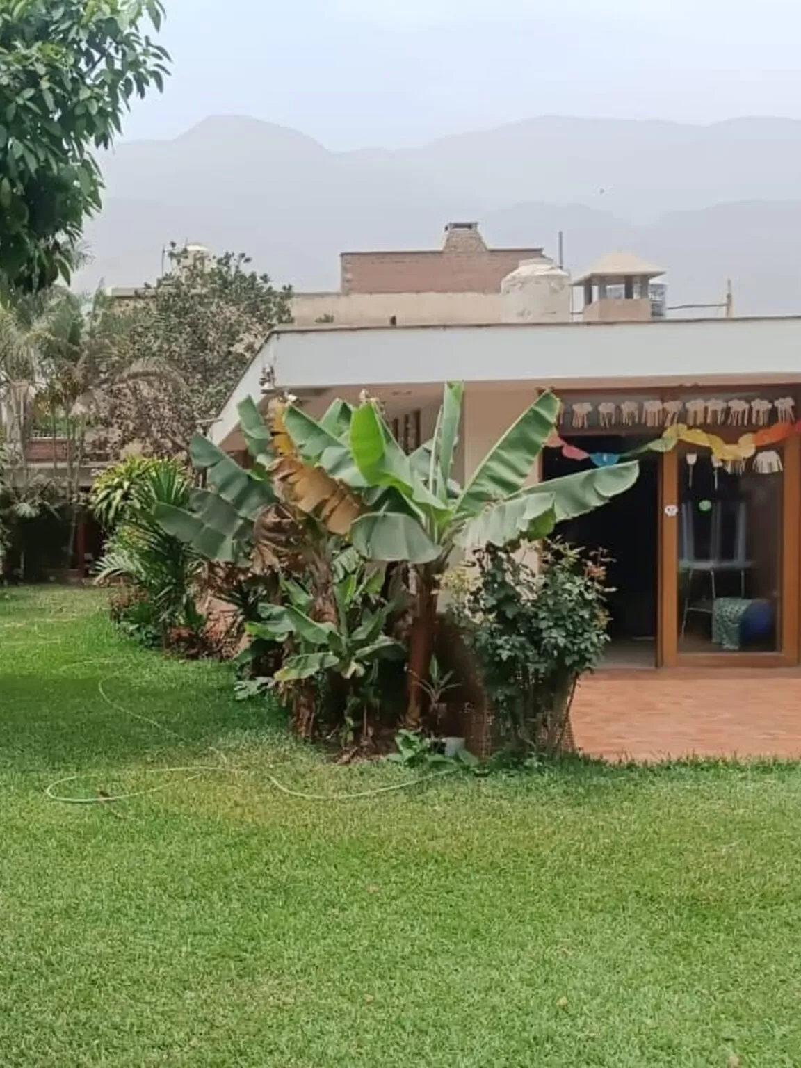 Césped verde con plataneros delante de un edificio beige, montañas al fondo.