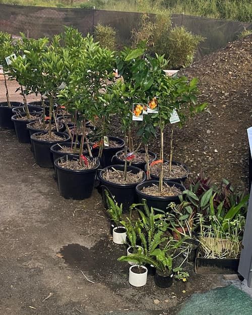 Landscape Supplies Test Product